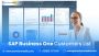 Buy a Verified SAP Business One Customers List in USA