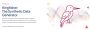 Kingfisher: The Synthetic Data Generator by Onix Kingfisher: The Synthetic Data Generator by Onix