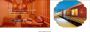 Discover the Opulent Beauty of India with the Maharajas Expr