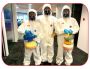 Comprehensive Guide to Termite Treatment: Protect Your Home 