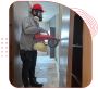 Dealing with Bed Bugs: Tips and Treatment Options