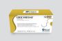 Best Absorbable Chromic Catgut Sutures at Orion Sutures
