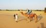 Desert Safari in Osian