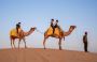 The Best desert Camp in Jodhpur with Price