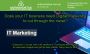 Marketing Services for IT Businesses - Brisbane