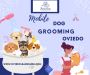 Dog Grooming Experts Oviedo Dog Grooming Experts Oviedo