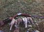 Dove Hunting in Texas | Prime Fields, Big Action