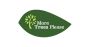 Tree Services Edmonton | More Trees Please