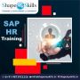 Best SAP HR Training in Delhi