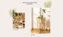Pantai Pura: Shop Premium Rattan Furniture Online In India