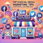 Online marketing solutions for businesses in ives estates fl