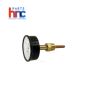 Raypak 007399F Tri-Gauge Pressure Temperature | PartsHnC