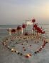 Party X-Surprise Planner In Goa