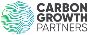 Analyzing Carbon Investment Opportunities