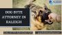 How Does Dog Bite Lawyer Help you? How Does Dog Bite Lawyer Help you?