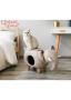 Best Pet Accessories Kuwait Best Pet Accessories Kuwait