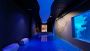 Bringing Science & Technology to Life: Innovative Museum Des