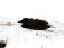 Powder Gilsonite for Sale in Dubai, UAE
