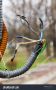 Nichrome Wire and Uninsulated Wire: Essential Industrial Sol