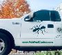 Pat's Pest Control