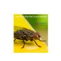 House Fly in Trichy By Peoples Pest