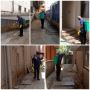 Termite pest control service in trichy