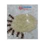 Residential  Pest Control in trichy | Peoplspest 