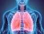 Lungs Capacity Improvement with Yoga