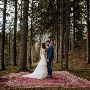 Persian Carpet Preservation and Cleaning Service Persian Carpet Preservation and Cleaning Service