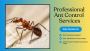  Fast, Safe & Targeted – Trusted Ant Control in Rockingham