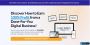 Launch Your Automated Online Business Daily Pay