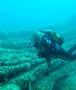 Book Diving Packages in Limassol, Larnaca & Paphos at Pissou