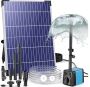 Keep Birds Comfortable in Winter with a Solar Heated Bird Ba