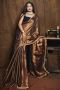 Discover the Stunning Brown Raga Tissue Saree