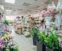 Commercial Floral Cooler Manufacturer – Custom Coolers