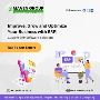 APP and website design company in hyderabad | Maven Group 