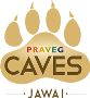 Praveg Resort in Jawai Rajasthan | Book now leopard safari l