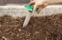 Pre Purchase Pest Inspection Sunshine Coast