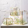 Elevate Your Home Decor with Candle Stands, Lanterns & Decor