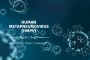 What is HMPV Human Metapneumovirus?