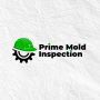 Prime Mold Inspection Burbank