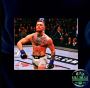 UFC CONOR MCGREGOR THE NOTORIOUS ONE SIGNED AUTOGRAPHED 16X2