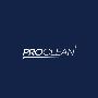 ProClean Services