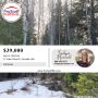 4½ Acre Lot Near Chesaw