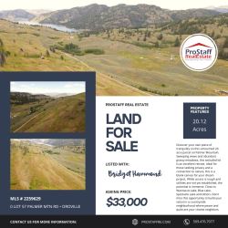 Untouched 20 Acres on Palmer Mountain