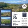 20 Acre Aspen Covered Meadow