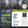 20 Acres in the Heart of Havillah