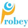 Probey Services – Trusted SEO Company in Hyderabad