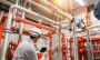 Fire Sprinkler System Installation in Ottawa 