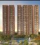 Sobha Aranya Sector 80, New gurgaon, Gurgaon - Price List